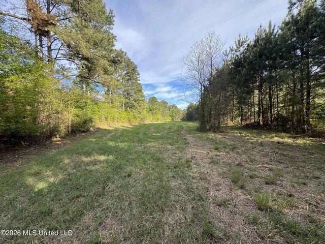 Land for sale in Bogue Chitto, Mississippi