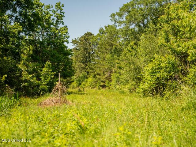 Land for sale in Brookhaven, Lincoln County