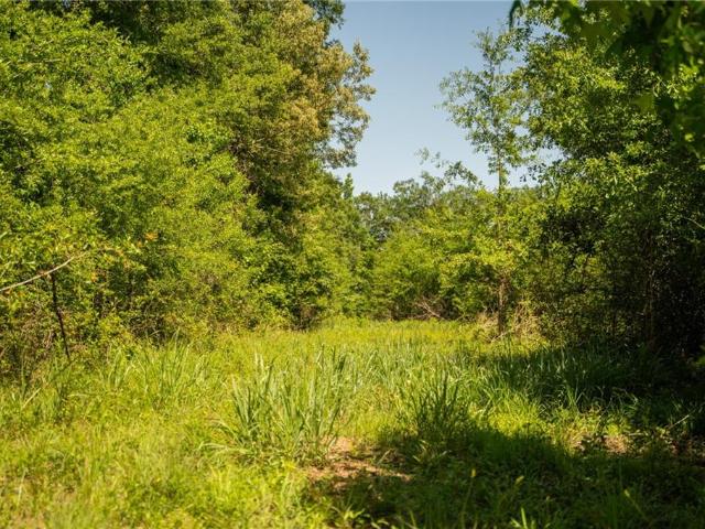 Land for sale in Bogue Chitto, Mississippi