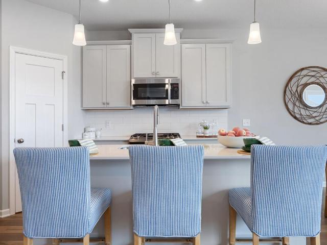 House for sale in Rosemount, Minnesota