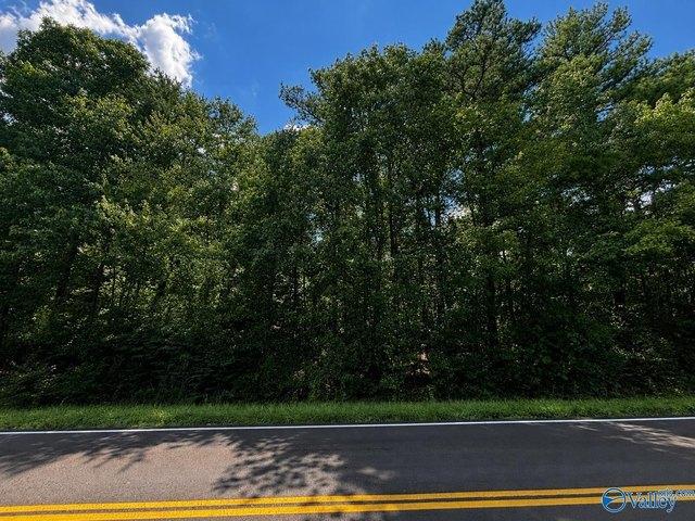 Land for sale in Flat Rock, Alabama