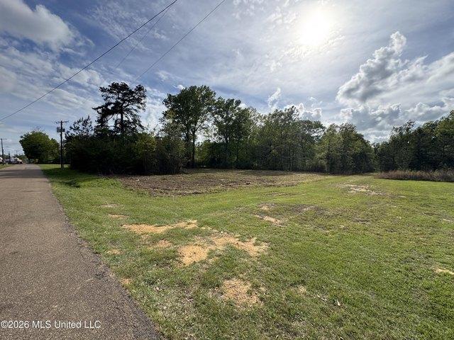 Land for sale in Bogue Chitto, Mississippi