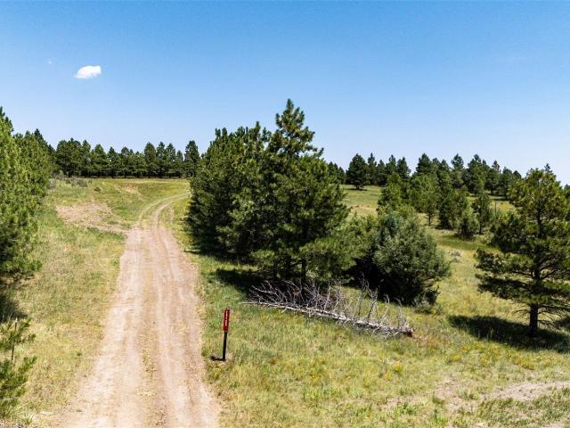 Land for sale in Kiowa
