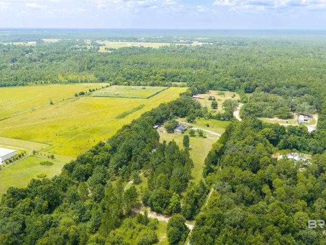 Land for sale in Lillian, Alabama