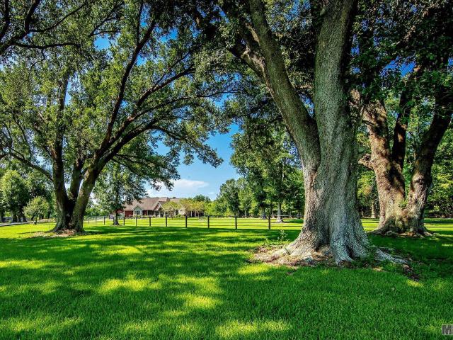 House for sale in Larose, Louisiana