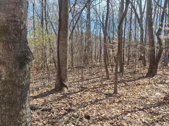 Land for sale in Knoxville