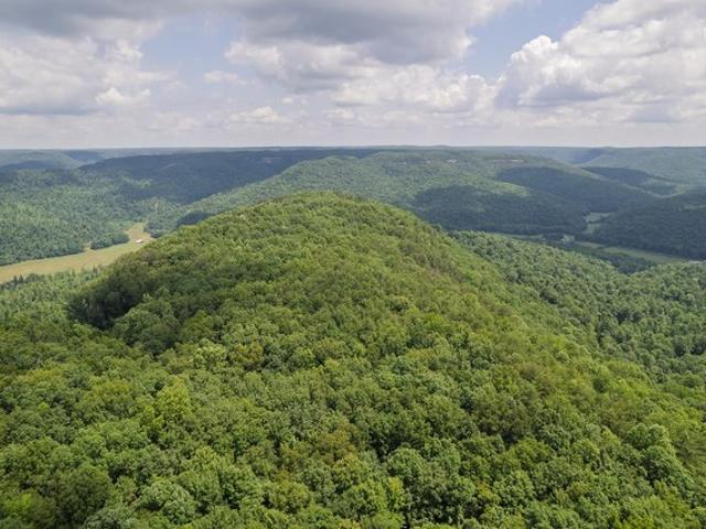 Farm for sale in Tennessee