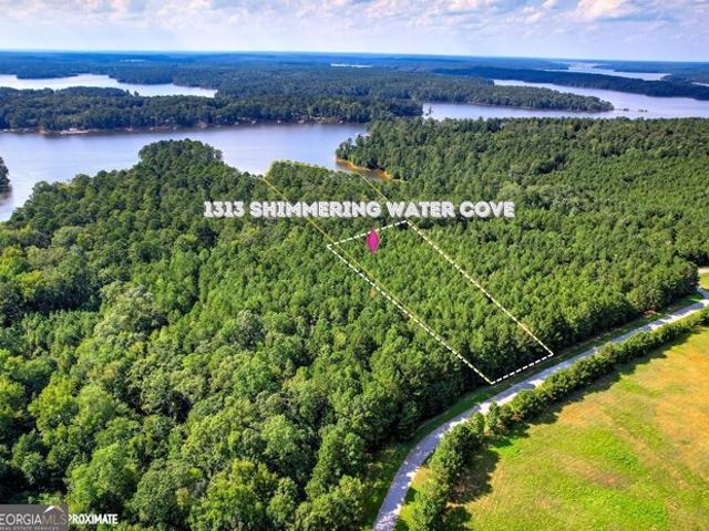 Land for sale in Tignall, Wilkes County