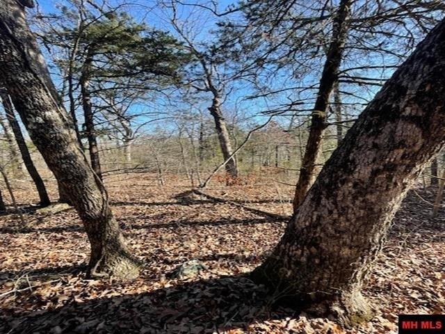 Land for sale in Ark