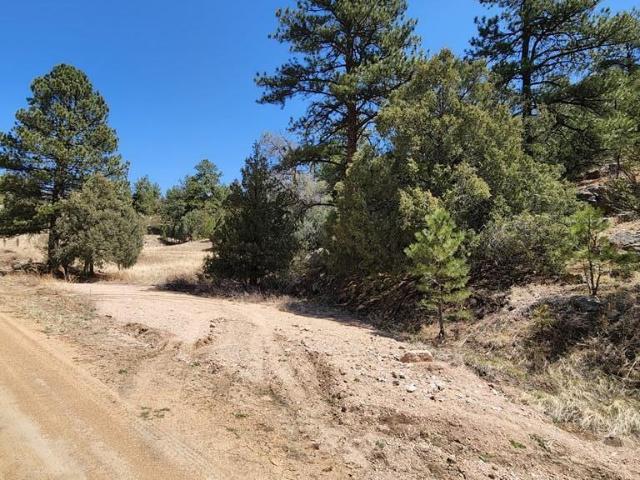 Land for sale in Colorado