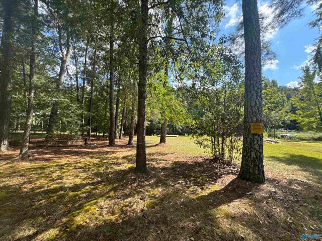 Land for sale in Centre, Cherokee County