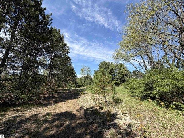 Land for sale in Beulah, Michigan