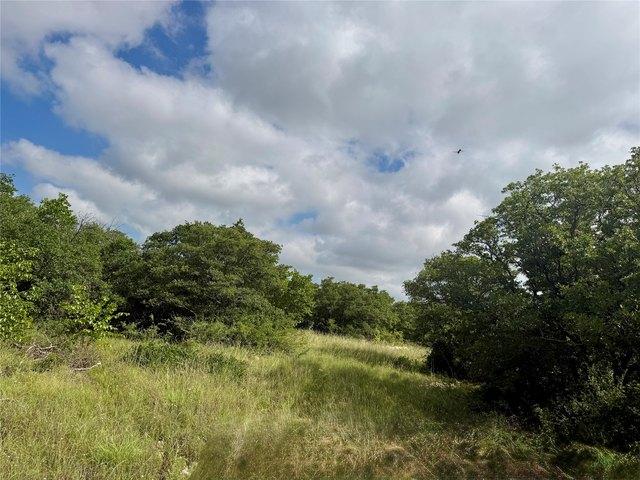 Land for sale in Coleman, Texas