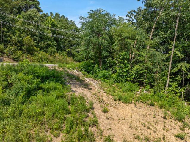 Land for sale in Tennessee