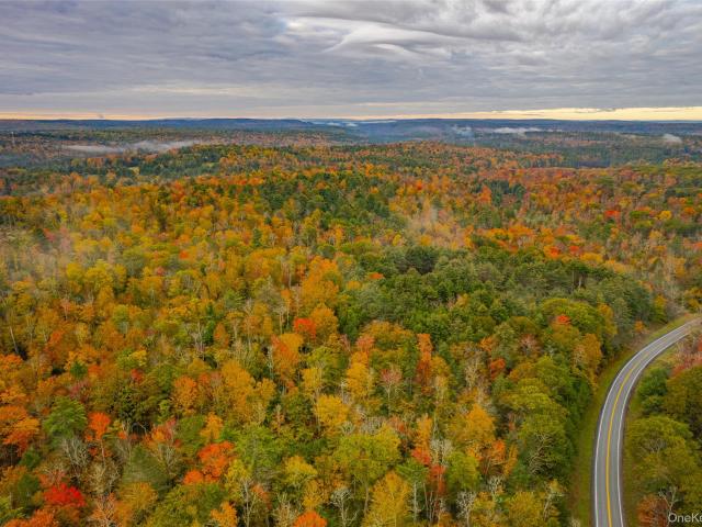 Land for sale in Forestburgh, New York