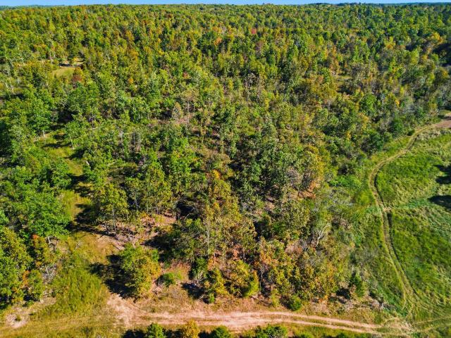 Farm for sale in Howell, Missouri