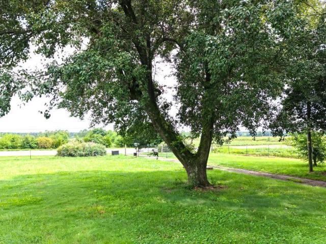 House for sale in Oakland, Ridgely