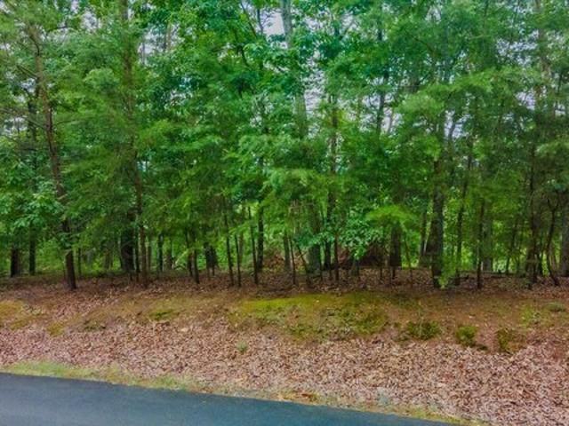 Land for sale in Tennessee
