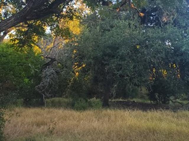 Land for sale in Leakey, Real County