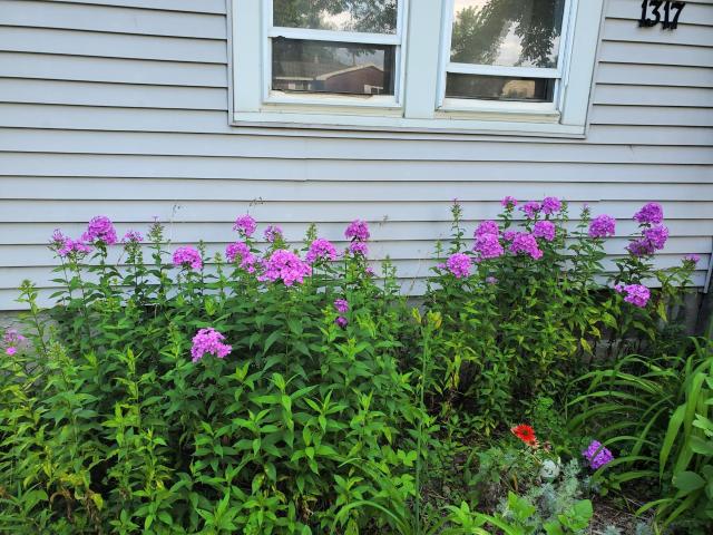 House for sale in Beltrami, Minnesota