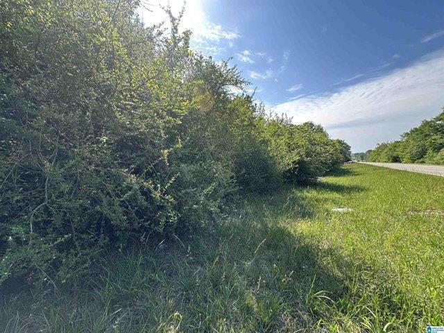 Land for sale in Lawley, Alabama