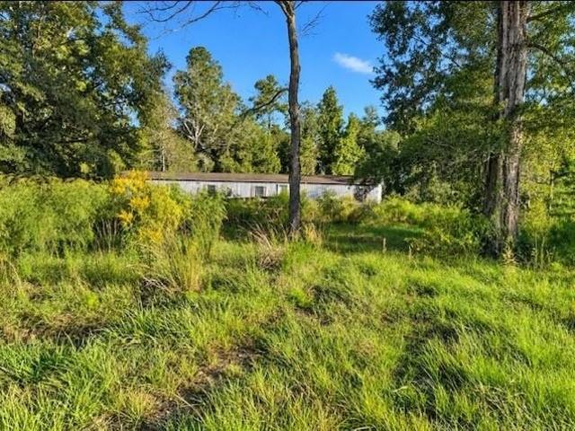 Land for sale in Tickfaw, Tangipahoa Parish