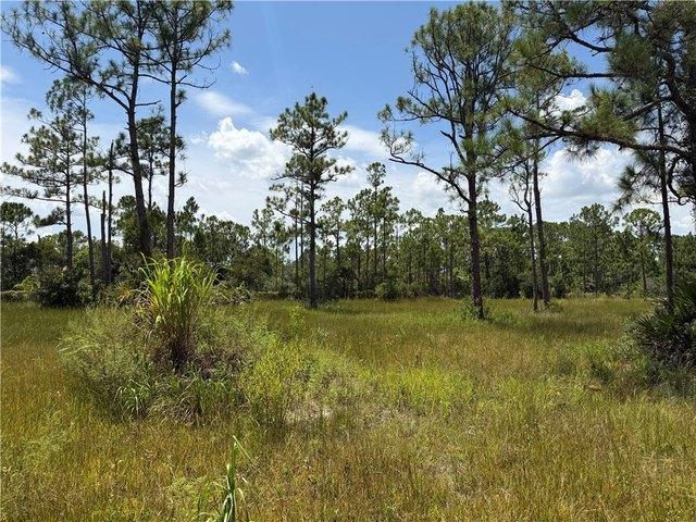 Land for sale in Fellsmere, Florida
