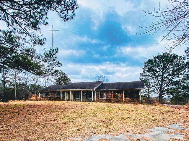 Land for sale in Red Bay, Alabama