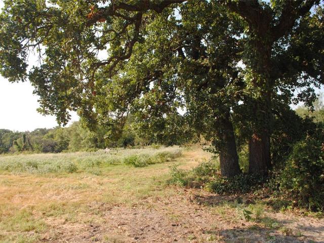 Land for sale in Rising Star, Texas
