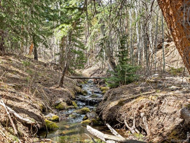 House for sale in Allenspark, Colorado