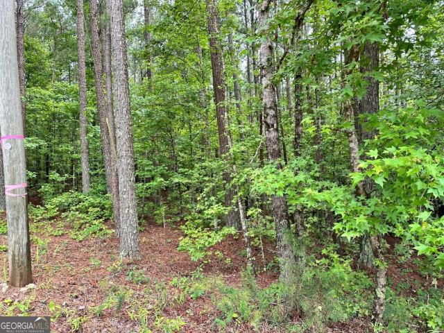 Land for sale in Spalding, Georgia
