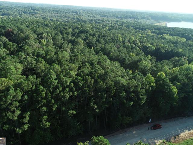 Land for sale in Locust Grove, Spalding County