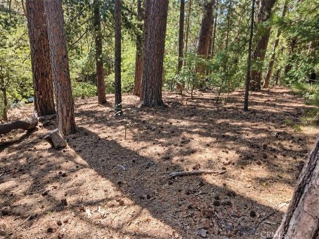 Land for sale in Lake Arrowhead, San Bernardino County