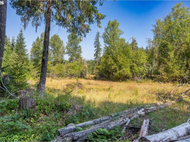 Land for sale in Carson, Skamania County