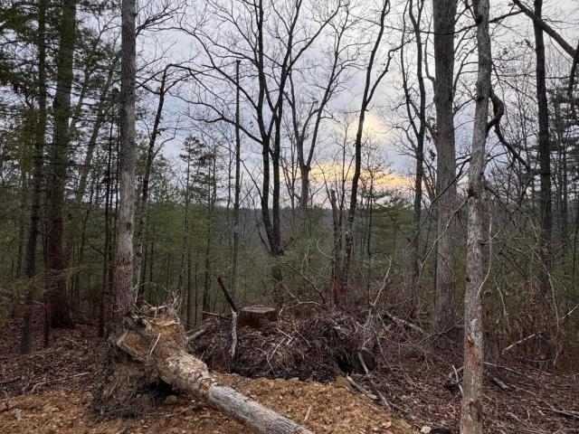 Land for sale in Wolfe, Kentucky