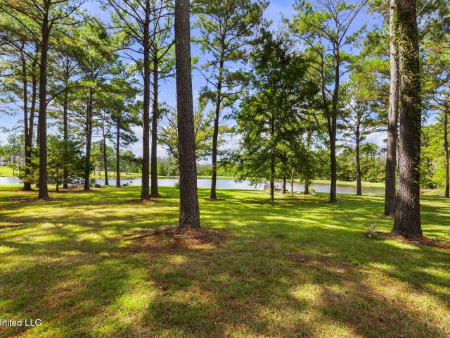 House for sale in Canton, Madison County