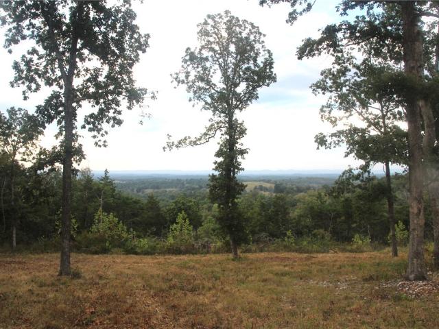 Land for sale in Valley Springs, Marion County