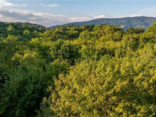 House for sale in Avery, North Carolina