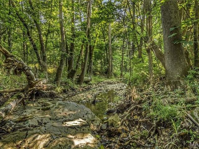 Land for sale in Troy, Missouri