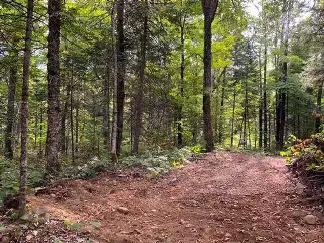 House for sale in Ripon, Quebec