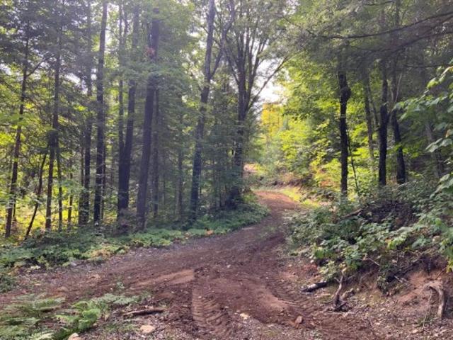 Land for sale in Ripon, Quebec