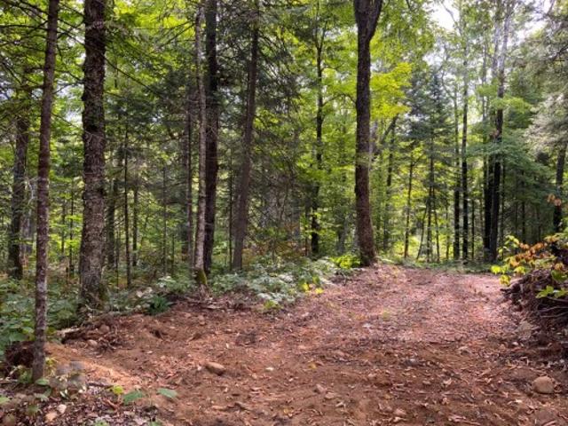 Land for sale in Ripon, Quebec