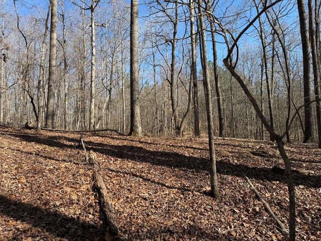 Land for sale in Gilmer, Georgia