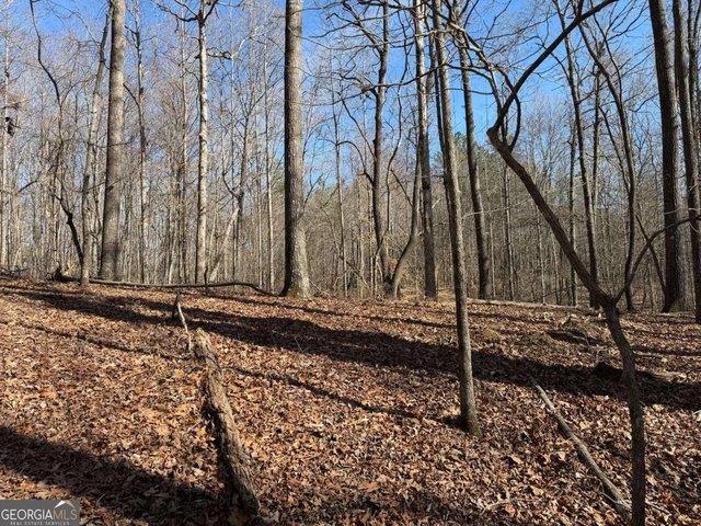 Land for sale in Pickens, Georgia