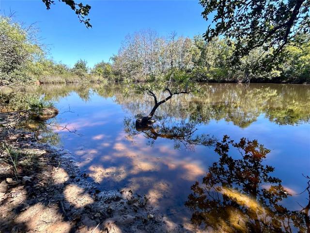 Land for sale in Rising Star, Texas