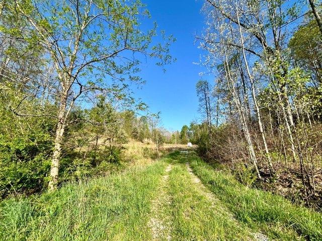 House for sale in Stanaford, West Virginia