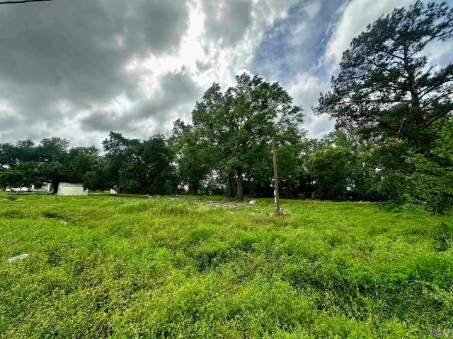 Land for sale in Raceland, Louisiana