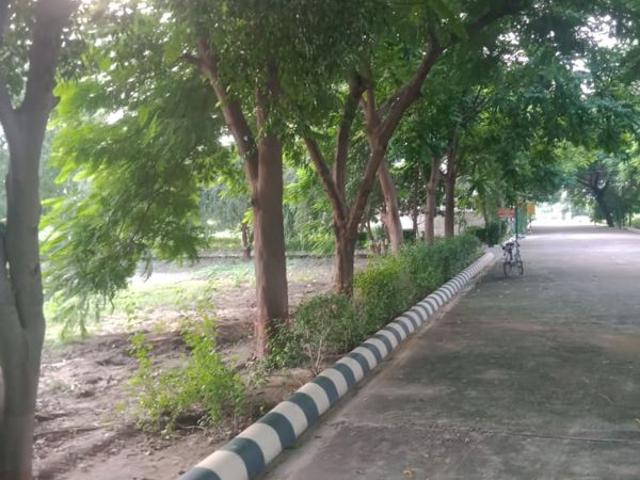 Land for sale in Kanpur, Arunachal Pradesh