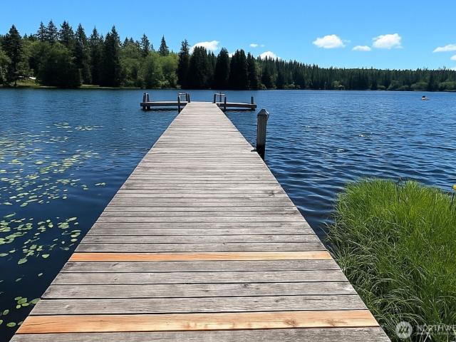 Land for sale in Elma, Washington