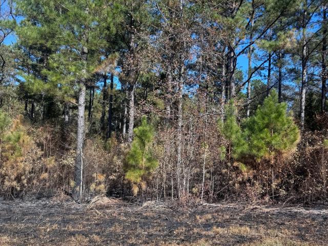 Land for sale in West Point, Georgia